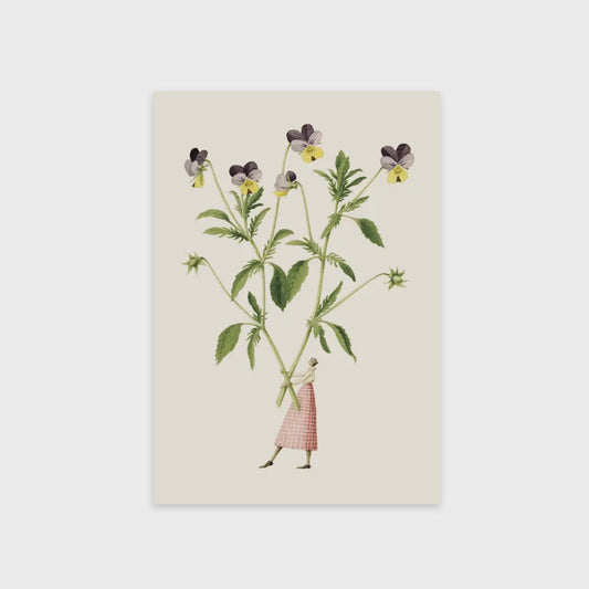 Violas - Card