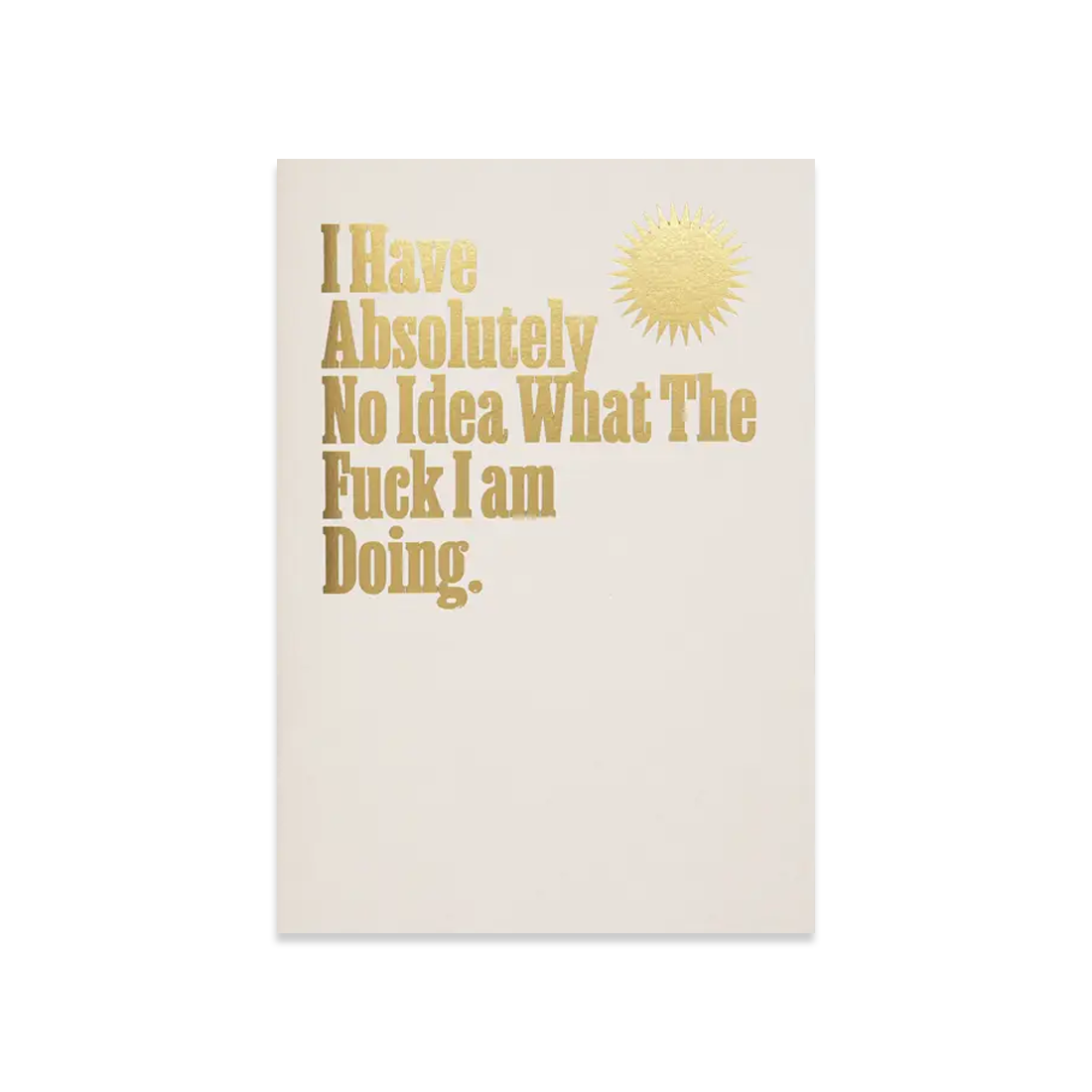 Absolutely No Idea - notebook