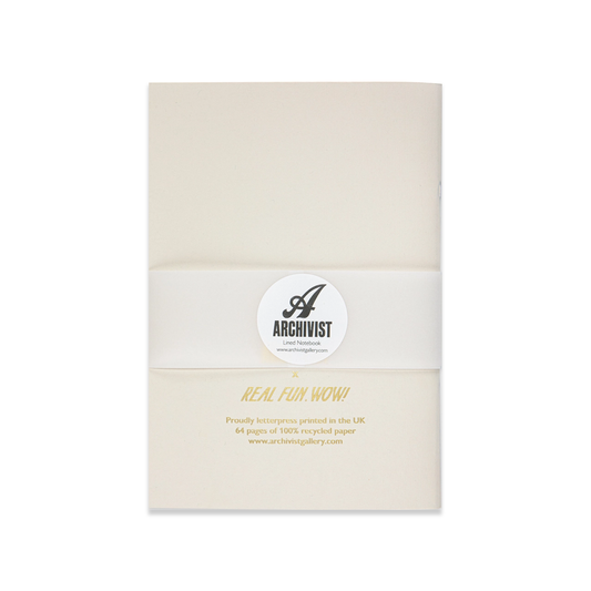 Absolutely No Idea - notebook