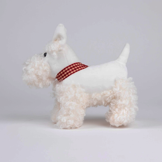 Lola the White Westie