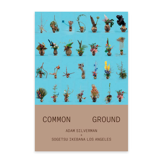 Adam Silverman - Common Ground