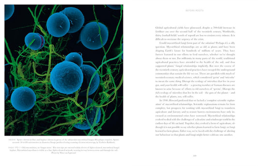 Entangled Life - How Fungi Make Our Worlds (Illustrated Edition)