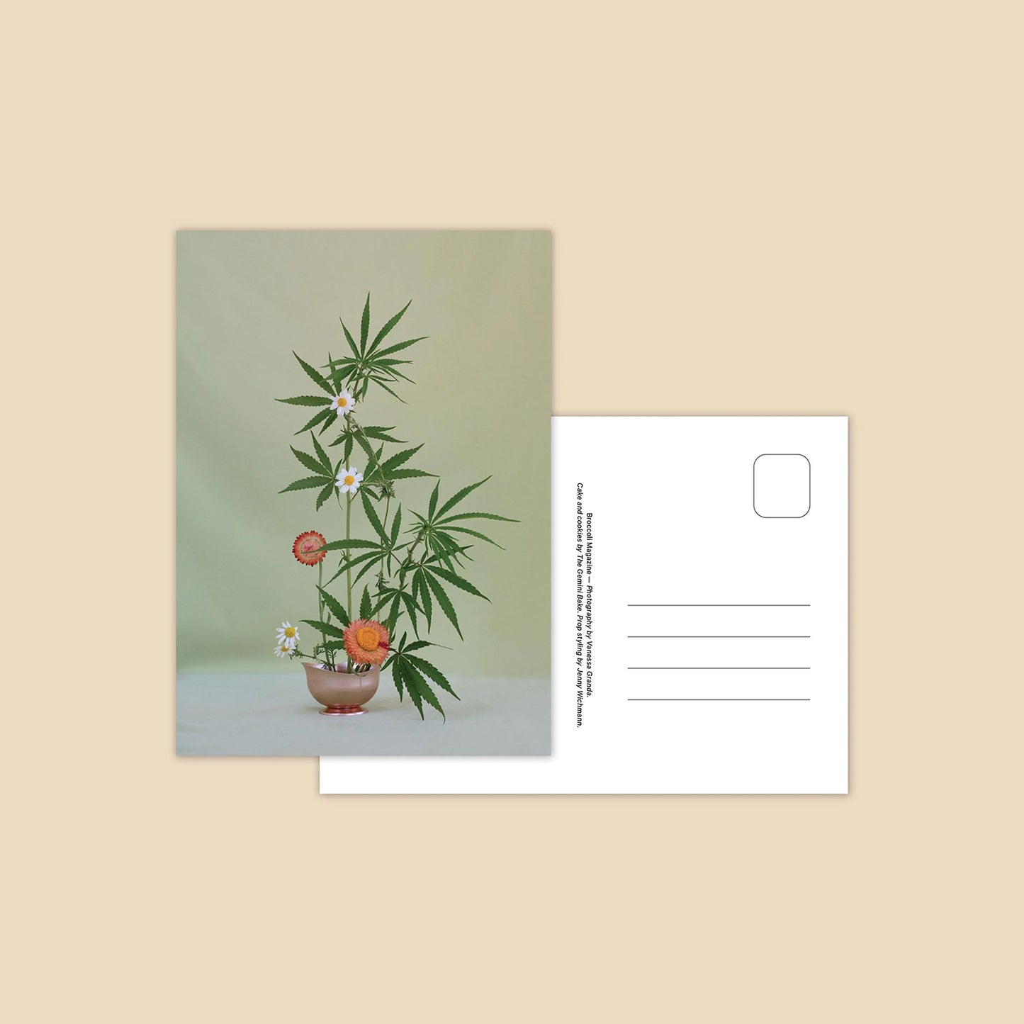 Weed Ikebana Postcard Set