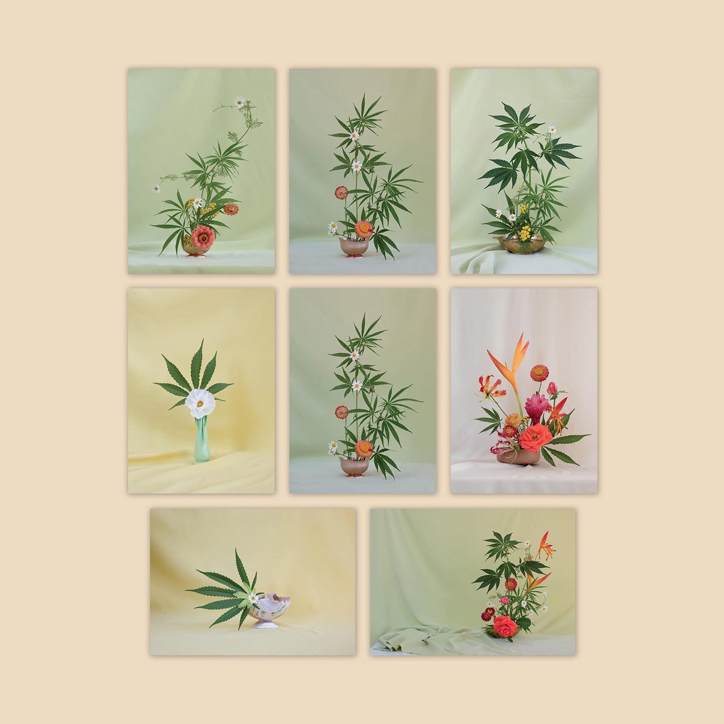 Weed Ikebana Postcard Set