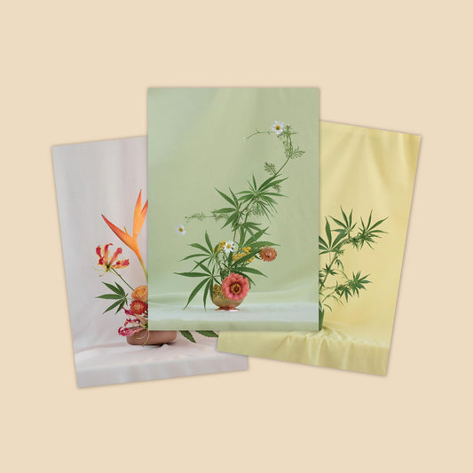 Weed Ikebana Postcard Set