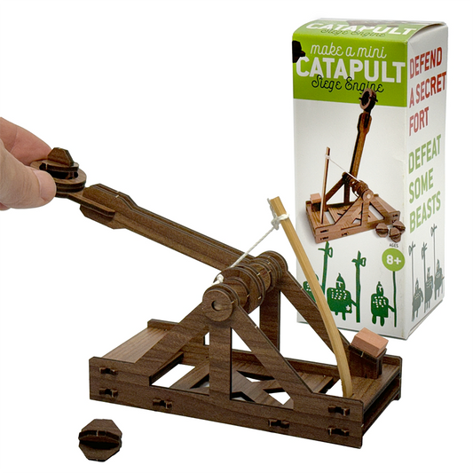 Mini Catapult to Build!