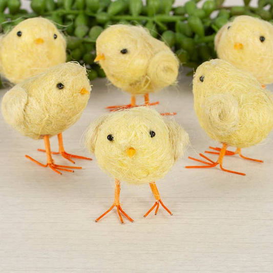 Baby Chicks