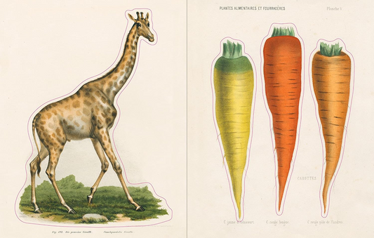 John Derian Sticker  Book