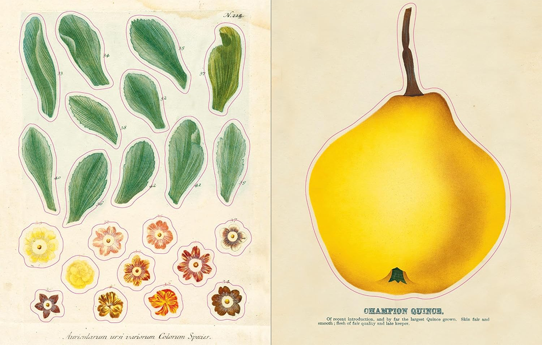 John Derian Sticker  Book