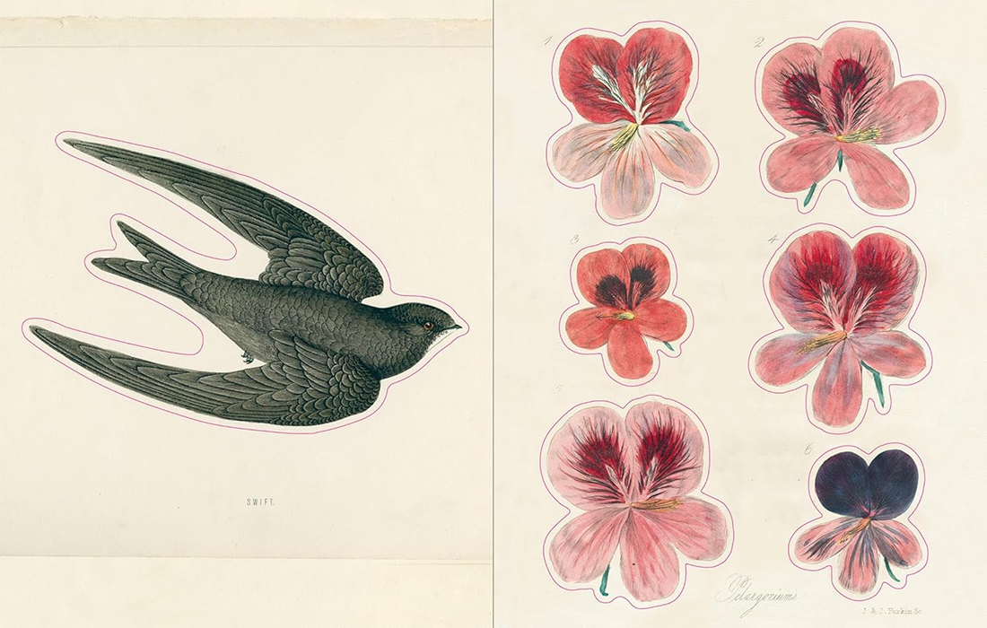 John Derian Sticker  Book