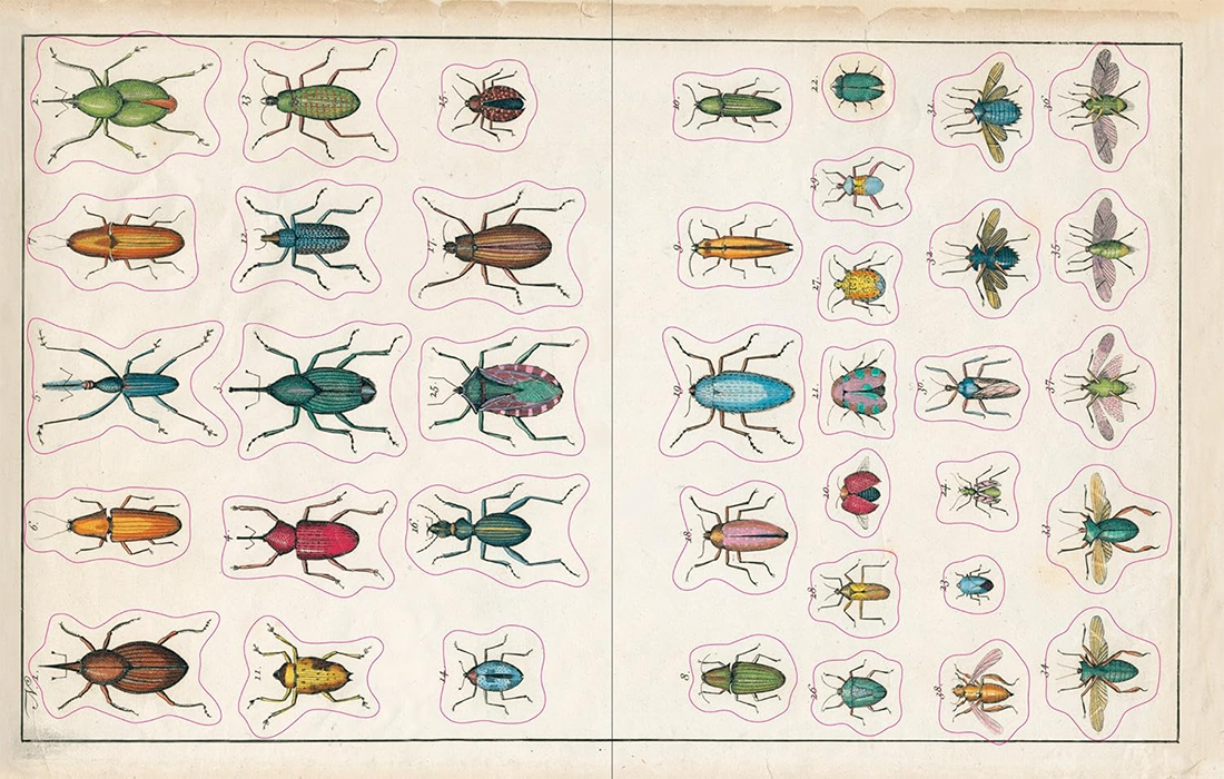 John Derian Sticker  Book
