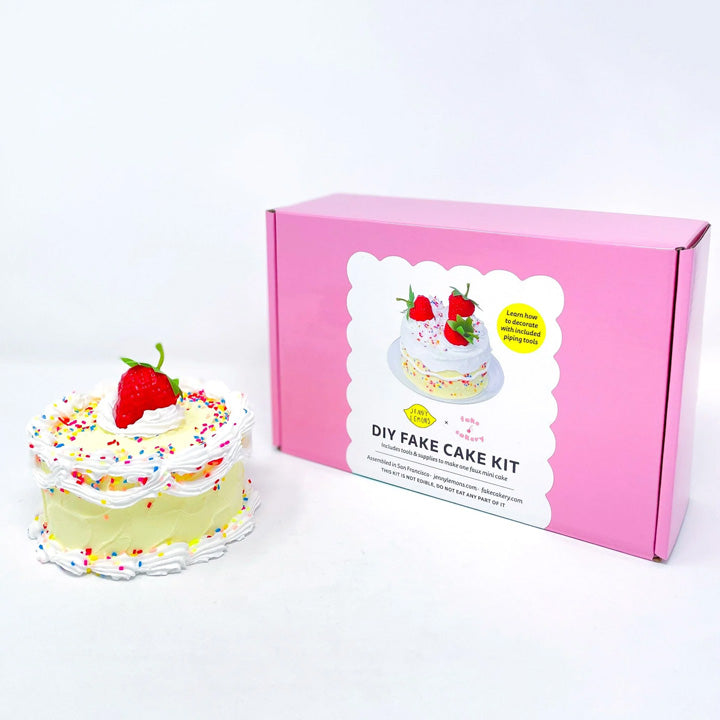 Fake Cake DIY Craft Kit