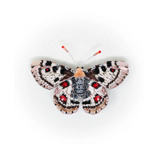 False Apollo Butterfly Brooch Pin