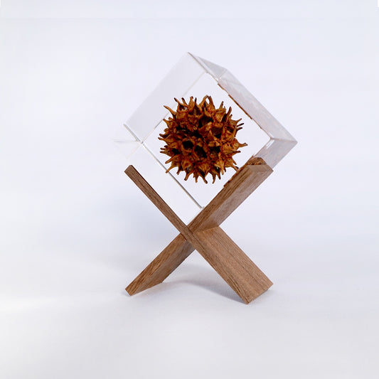Sola Cube - Display Stand