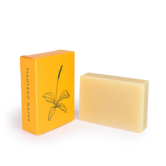 ALTR Soap - Plantago Major