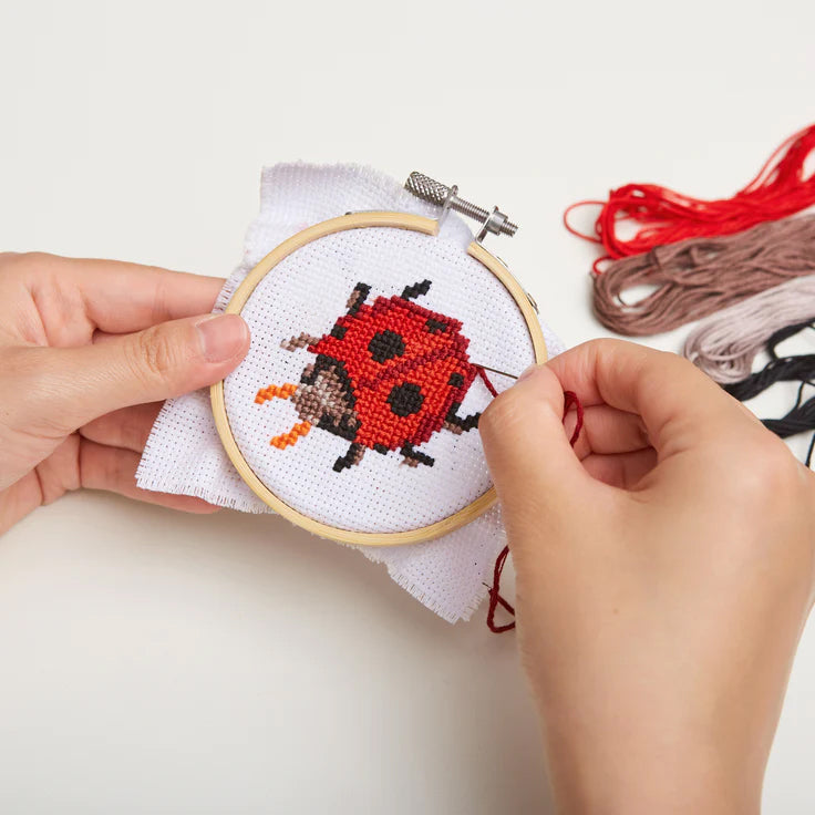 Mini Cross Stitch Embroidery Kit - Ladybug