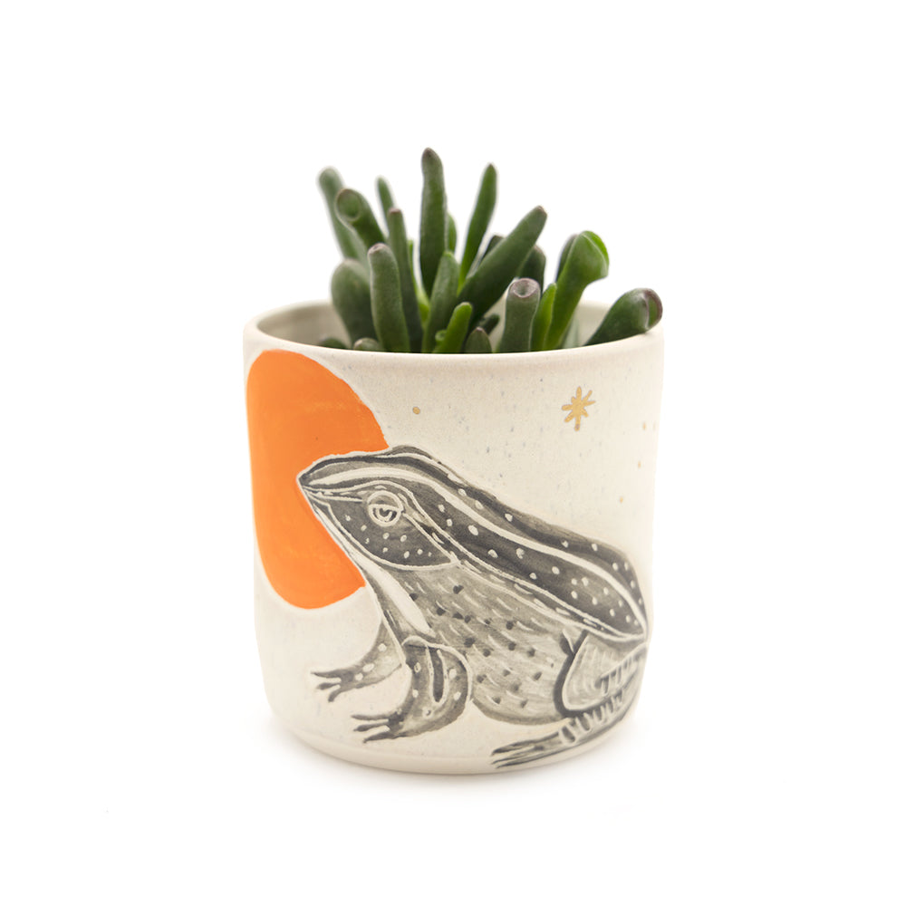 Animal Cup / Planter by Lizbeth Navarro Ceramics - Frog