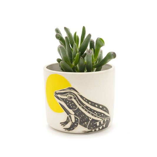Animal Cup / Planter by Lizbeth Navarro Ceramics - Frog