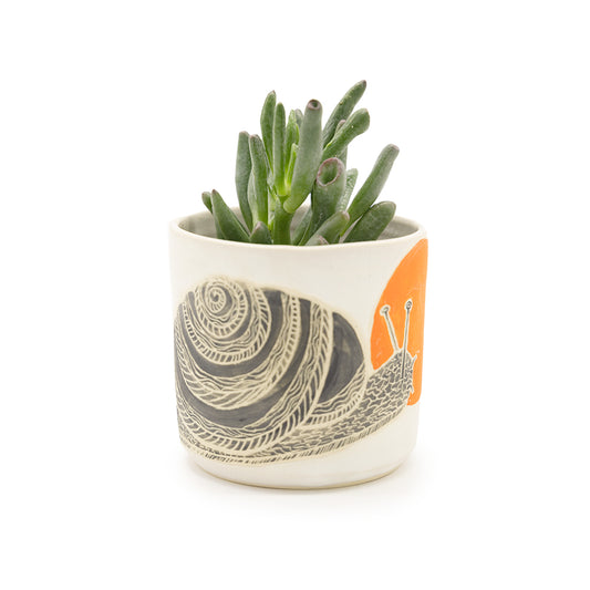 Animal Cup / Planter by Lizbeth Navarro Ceramics - Snail