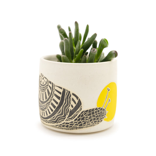 Animal Cup / Planter by Lizbeth Navarro Ceramics - Snail