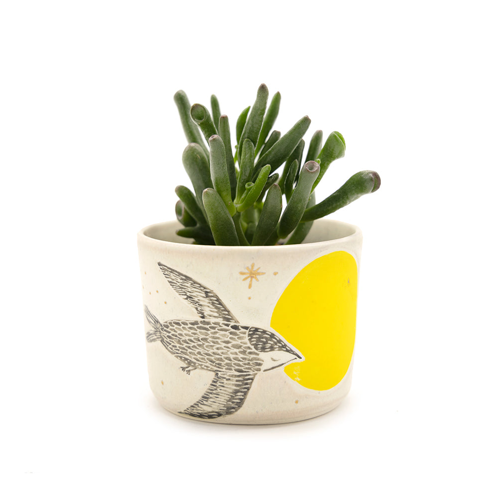 Animal Cup / Planter by Lizbeth Navarro Ceramics - Swallow