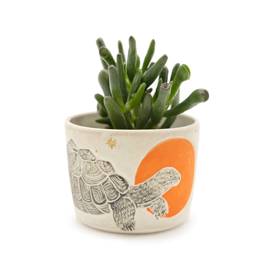 Animal Cup / Planter by Lizbeth Navarro Ceramics - Tortoise