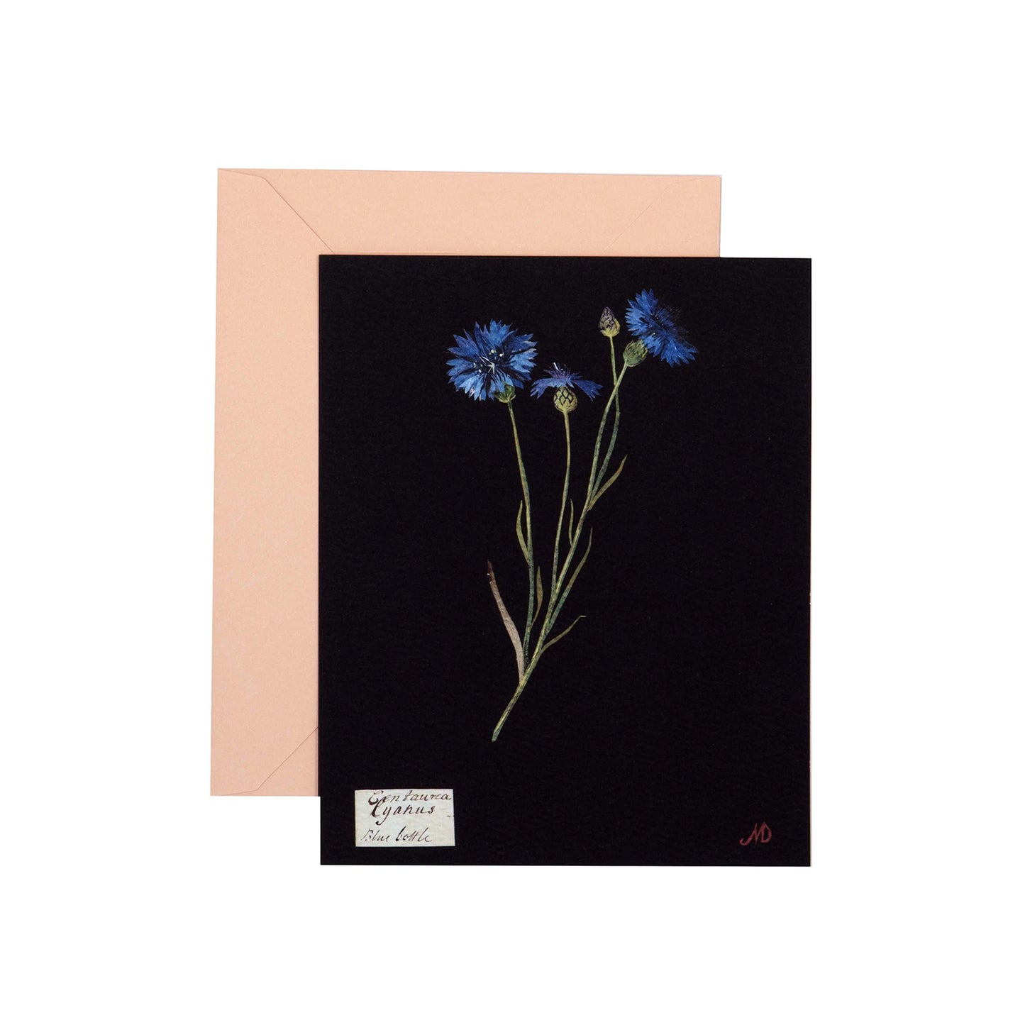 Paper Flowers Notecard Set