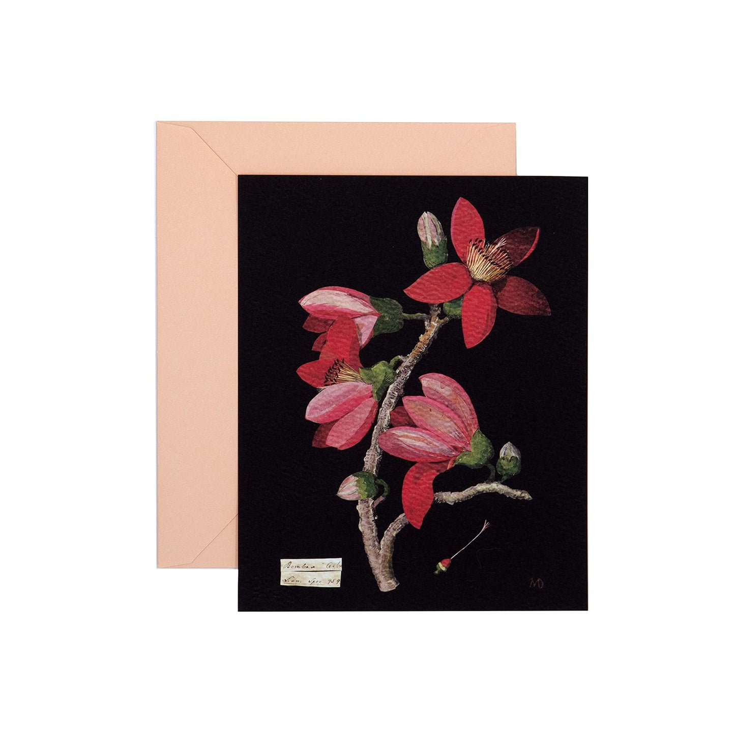 Paper Flowers Notecard Set