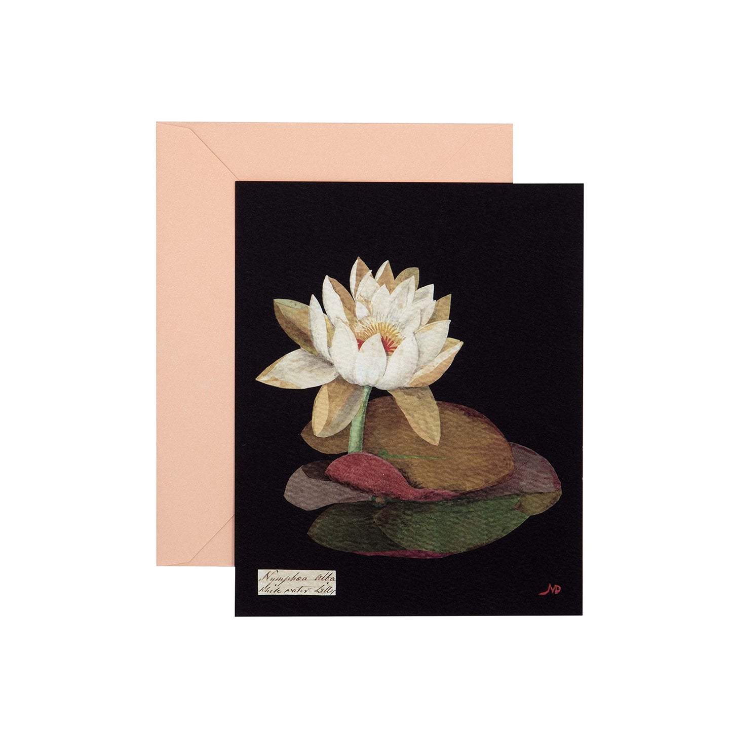 Paper Flowers Notecard Set