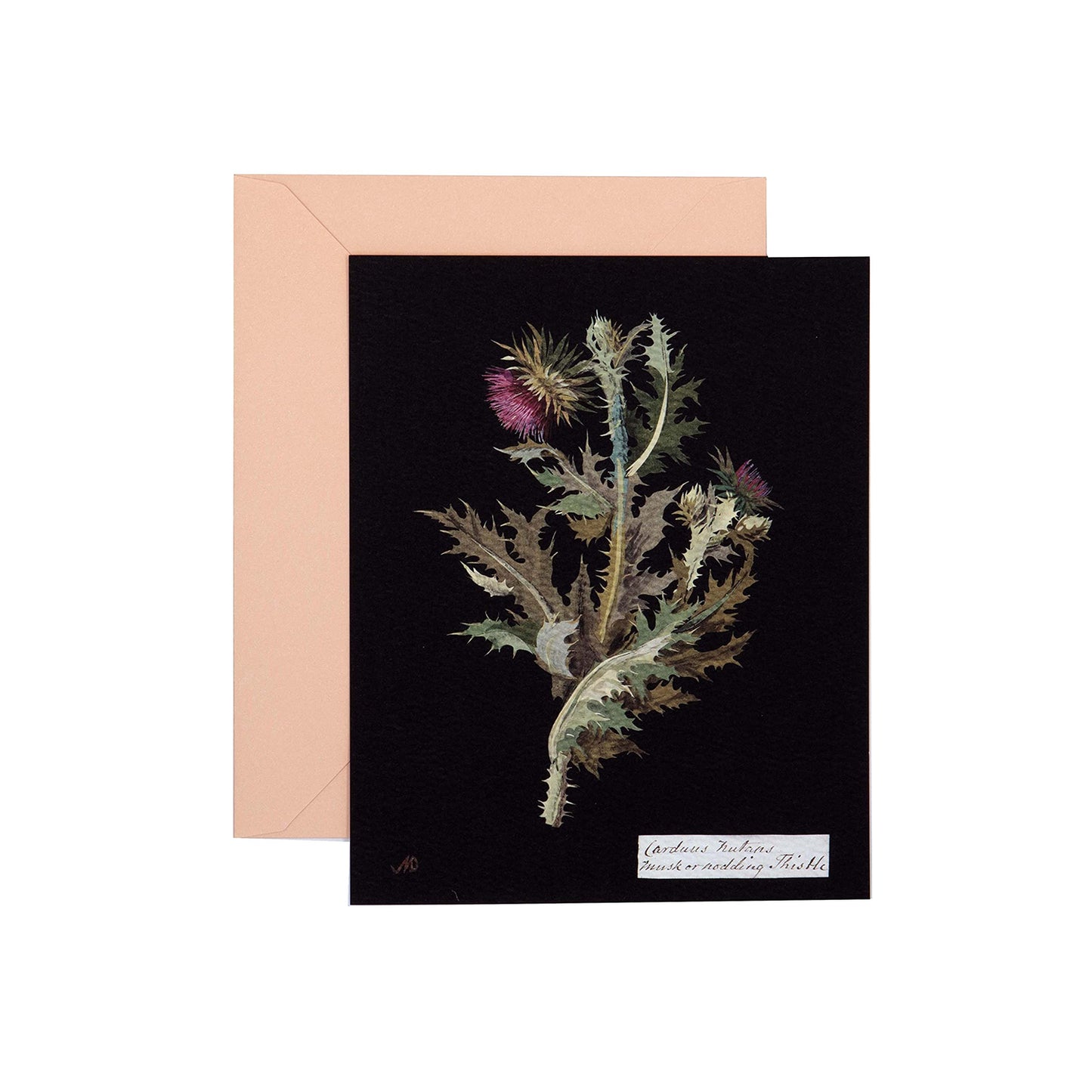 Paper Flowers Notecard Set