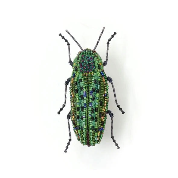 Lamprodila Beetle Brooch Pin